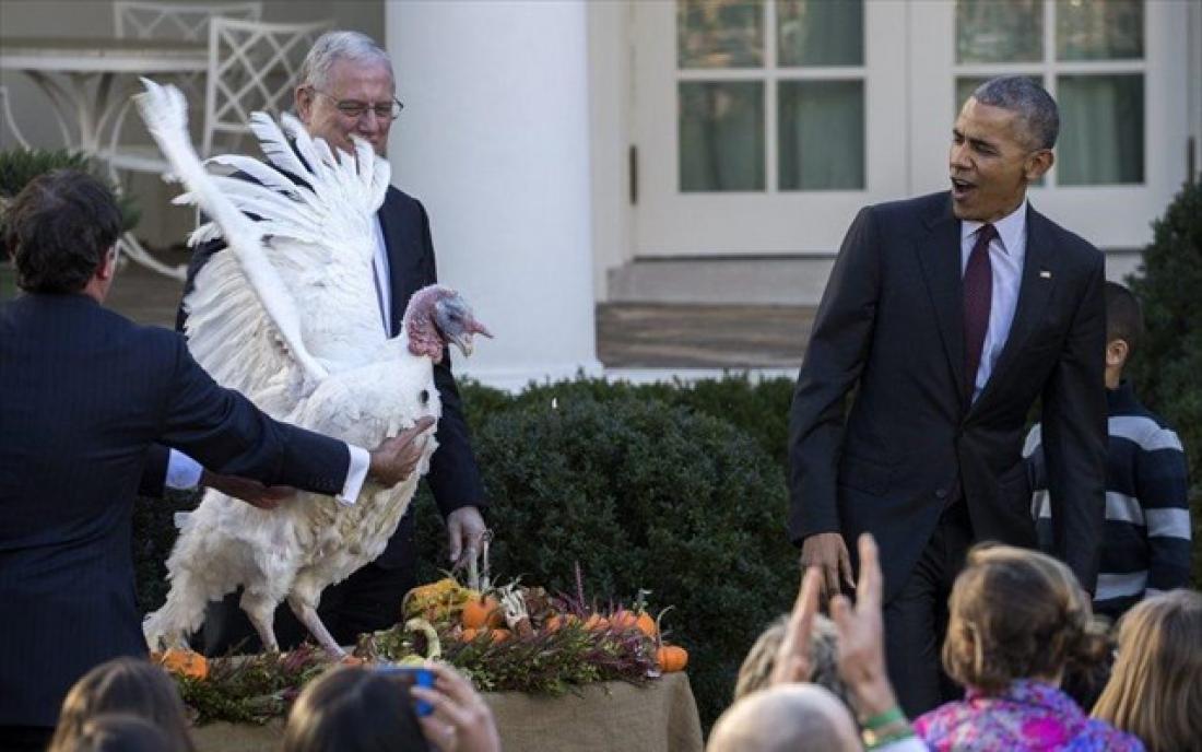 Ομπάμα: Απένειμε χάρη σε γαλοπούλα για την Ημέρα των Ευχαριστιών