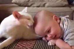 Δεν ήξεραν πώς αυτή η γάτα θα αντιδράσει στο νεογέννητο μωράκι τους..Δείτε!