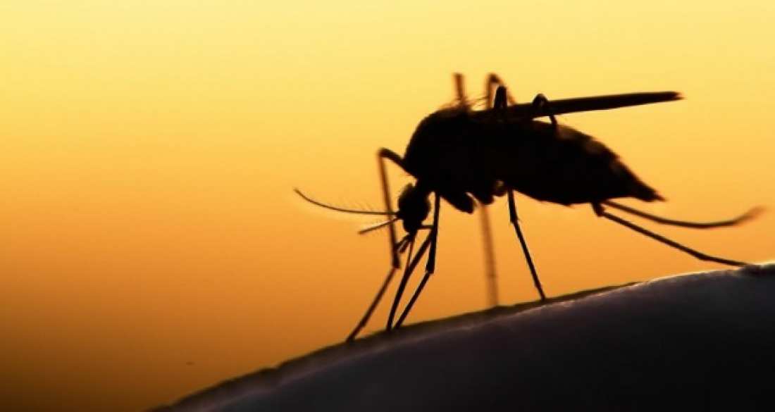 ΙΣΑ σε υπουργείο Υγείας: Ποιά έκτακτα μέτρα πήρατε για την ελονοσία;