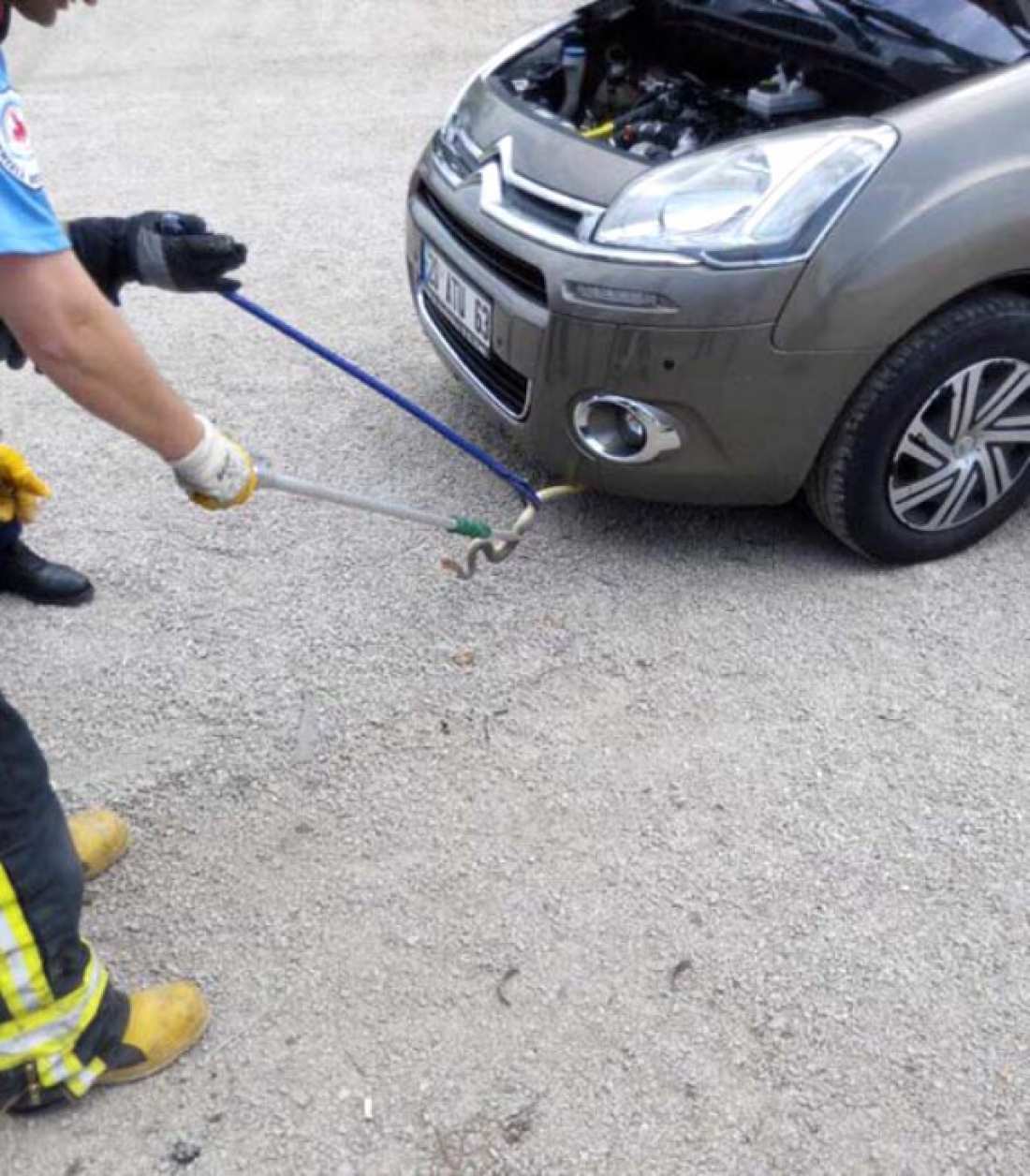 Σεισμός Μυτιλήνη: Τα... φίδια στη Σμύρνη «προέβλεψαν» τον Εγκέλαδο (ΦΩΤΟ)