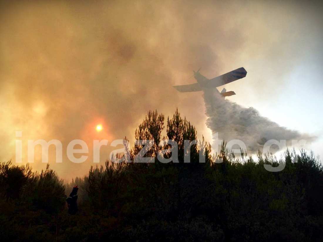 Ανεξέλεγκτη είναι η νέα πυρκαγιά που ξέσπασε στην Ζάκυνθο, στην άλλη άκρη του νησιού, νοτιοδυτικά σε δασική έκταση στο Κοιλιωμένο λόγω-Αναζοπυρώθηκε η πυρκαγιά και στο Καταστάρι-Απανωτές οι πυρκαγιές στην Ζάκυνθο ενισχύοντας την πεποίθηση οργανωμένου σχεδίου εμπρηστών (ΦΩΤΟ-ΒΙΝΤΕΟ)