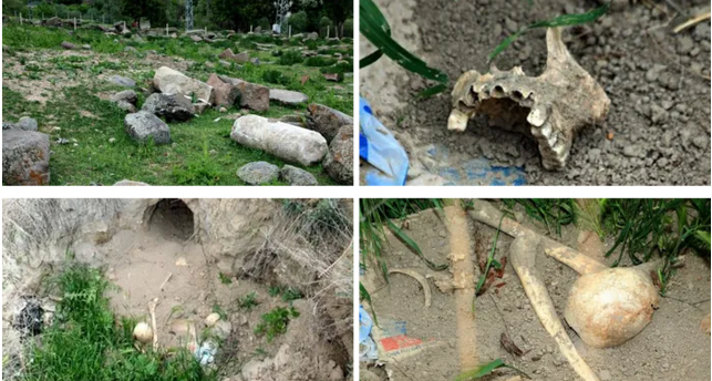 Τον Αύγουστο επίσης βεβηλώθηκαν μερικοί τάφοι στο αρμενικό νεκροταφείο Surp Ρirgic στην περιοχή Σιντζάν της Άγκυρας.