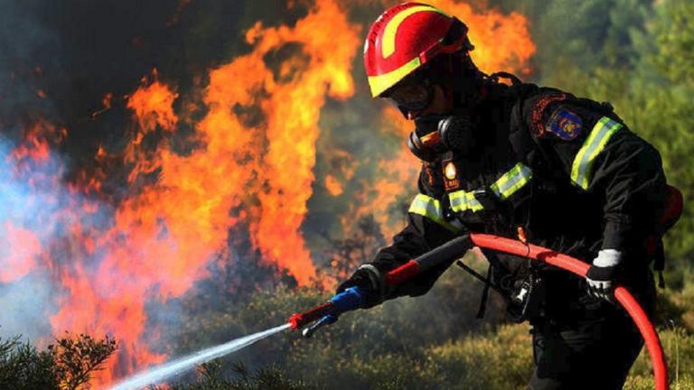 Μεγάλη πυρκαγιά στο Καρπενήσι - Κοντά σε ξενοδοχείο η πύρινη «μάχη»! (ΦΩΤΟ + ΒΙΝΤΕΟ)