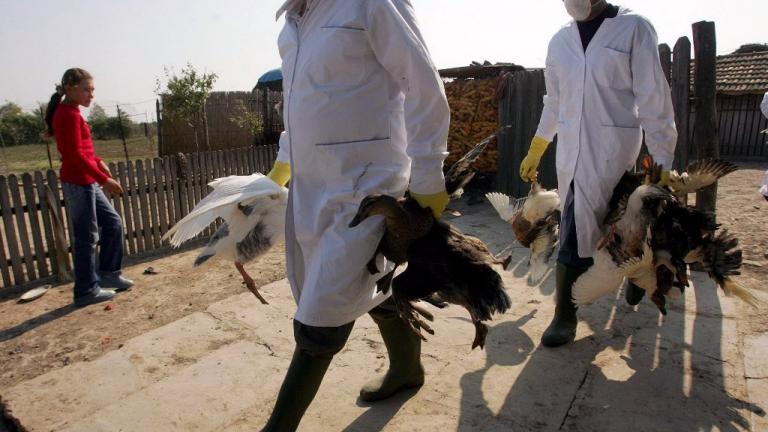 Περιστατικά γρίπης των πτηνών στη Βουλγαρία