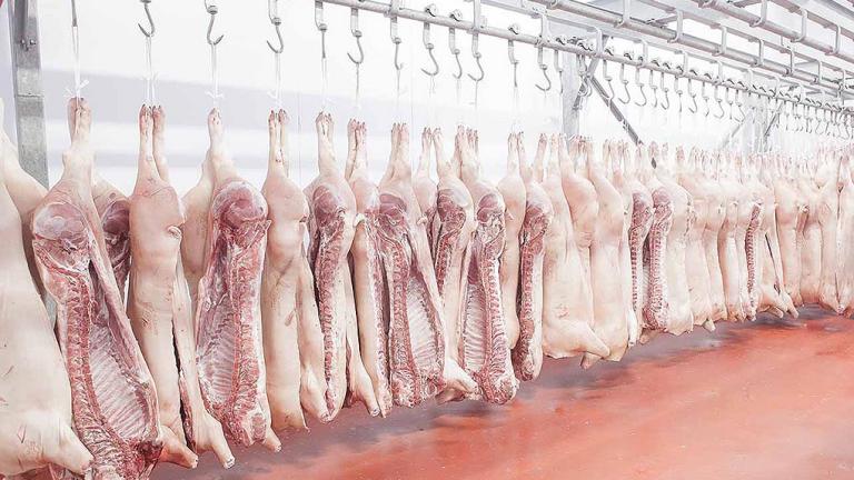 Απίστευτη «φάμπρικα» με παράνομα κρέατα και φοροδιαφυγή στην Αχαΐα