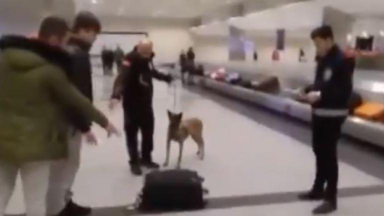 Απίστευτοι έλεγχοι με σκυλιά στα τουρκικά αεροδρόμια μόνο για Ολλανδούς!