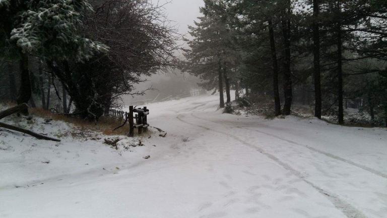 Καιρός: Χιόνια στη Πάρνηθα- Που βγήκαν ήδη τα εκχιονιστικά