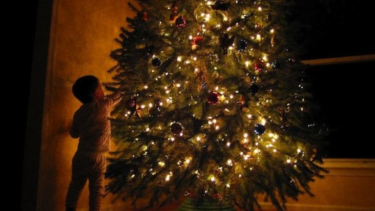 Χριστούγεννα 2017: Πώς ήρθε το χριστουγεννιάτικο δέντρο στην Ελλάδα
