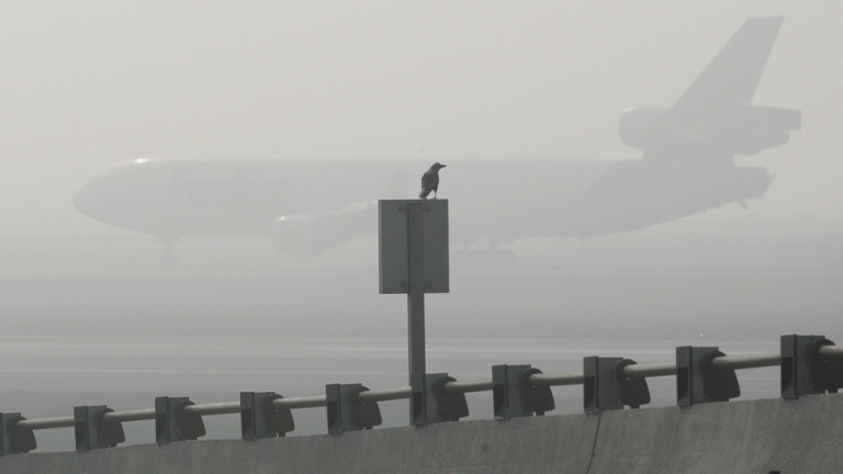 Συνεχίζονται για δεύτερη ημέρα τα προβλήματα στο αεροδρόμιο «Μακεδονία» της Θεσσαλονίκης, λόγω της πυκνής ομίχλης 