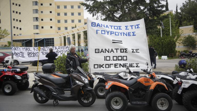 «Επιδρομή» από γουρούνες στο κέντρο της Αθήνας (ΦΩΤΟ)