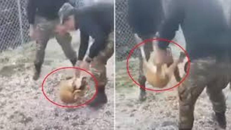 Συγνώμη ζητούν οι δύο πρωταγωνιστές για το βασανισμού βασανισμό σκύλου σε στρατόπεδο της Κόνιτσας