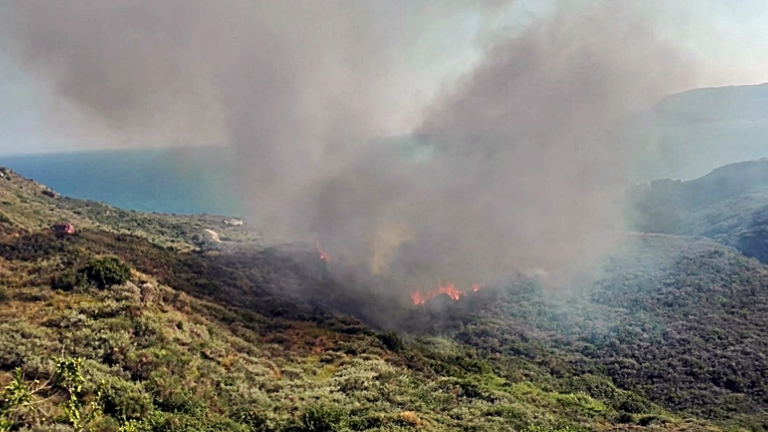 Σε εξέλιξη μεγάλες πυρκαγιές σε Ζάκυνθο και Πάρο-Πολλά τα πύρινα μέτωπα στο νησί του Ιονίου (ΦΩΤΟ)