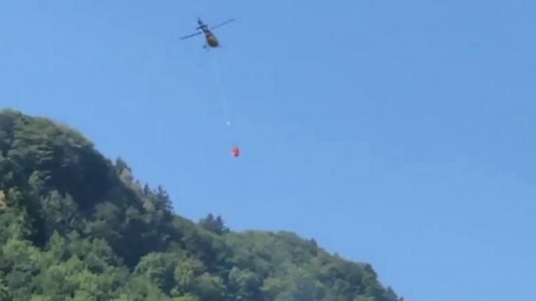 Τραγωδία στην Ελβετία με μικρό αεροπλάνο που συνετρίβη σε δασική περιοχή-Όλοι οι επιβαίνοντες νεκροί 