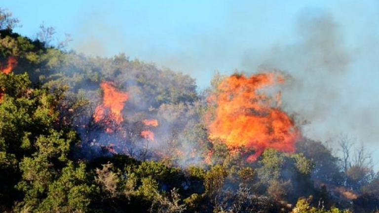 Ζάκυνθος: Σε εξέλιξη πυρκαγιά στο χωριό Αργάσι