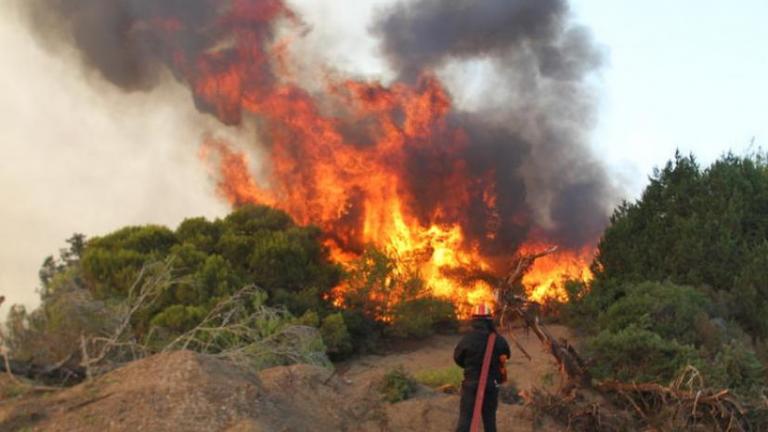 Φωτιά απειλεί ένα από τα τελευταία "παρθένα" δάση της Ρόδου