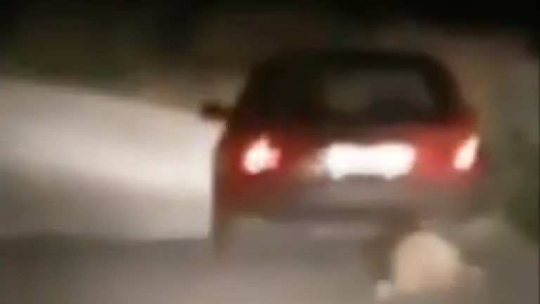 Κτηνωδία στη Βόνιτσα: 72χρονος έσερνε σκύλο με το αυτοκίνητό του-Το βίντεο της ντροπής (ΒΙΝΤΕΟ) 