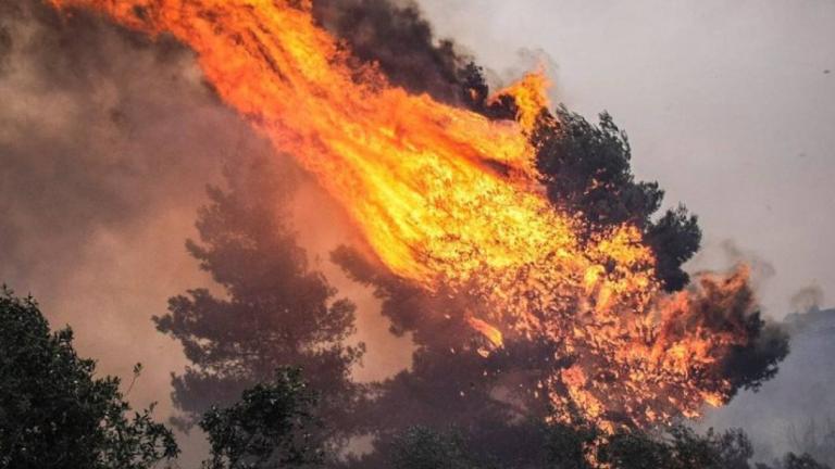 Πυρκαγιά σε δασική έκταση στα Μέγαρα-Επί τόπου η Πυροσβεστική