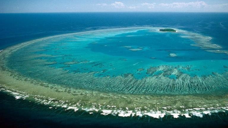 Νήσος Χέντερσον: Το ακατοίκητο νησί του Ειρηνικού έχει μετατραπεί σε χωματερή πλαστικών