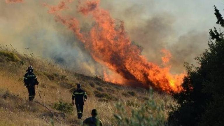 Κρήτη: Φωτιά στην Αγία Βάρβαρα του Δήμου Γόρτυνας