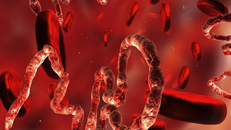 Τι σημαίνει η απόφαση του ΠΟΥ για τον ιό Έμπολα και τι πρέπει να γνωρίζουμε για την ασθένεια