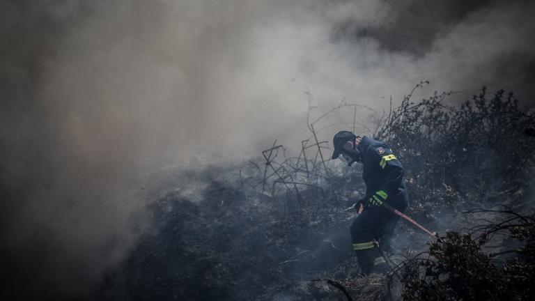 Πυρκαγιά Εύβοια: Σε κατάσταση έκτακτης ανάγκης οι πυρόπληκτες περιοχές στην Εύβοια