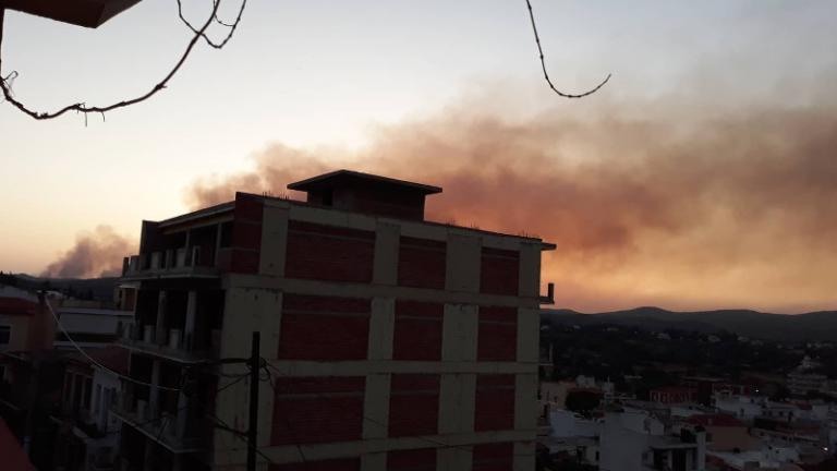 Φωτιά στην Εύβοια: Μάχη σε τρία μέτωπα - Εκκένωση οικισμών - Πέντε πολίτες στο νοσοκομείο