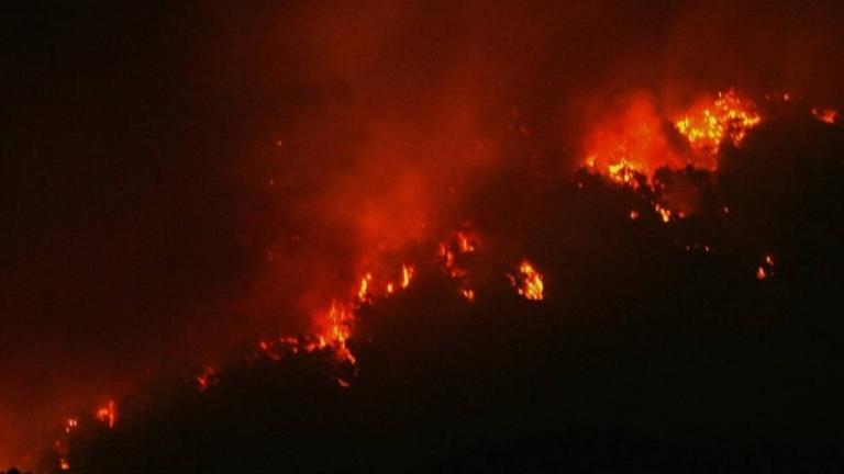 Φωτιά στην Εύβοια: Ολονυχτια μάχη των πυροσβεστών με τις φλόγες 