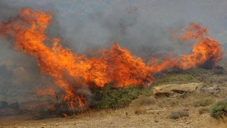 Φωτιά σε δασική έκταση στην Κάτω Δροσιά του δήμου Ερυμάνθου