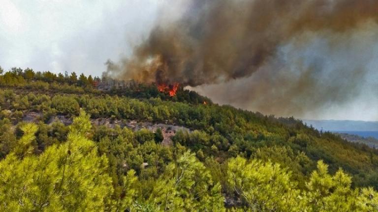 Φωτιά τώρα: Δύο πύρινα μέτωπα στην Κέρκυρα - Σε δασική έκταση