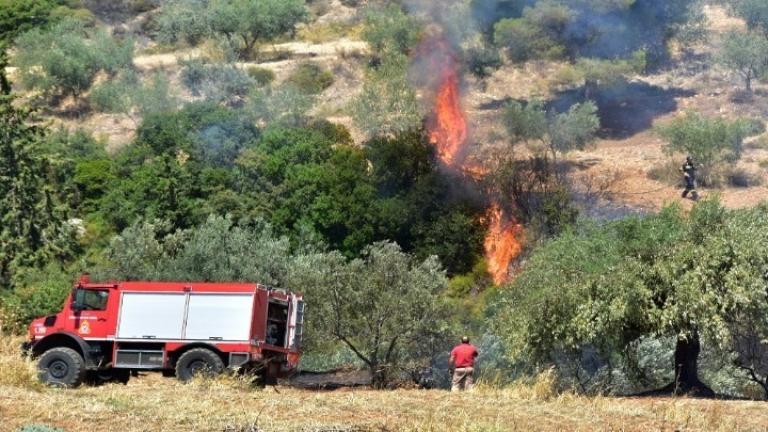 Φωτιά τώρα: Πυρκαγιά στη Σαλαμίνα, προληπτική εκκένωση σπιτιών για λόγους ασφαλείας