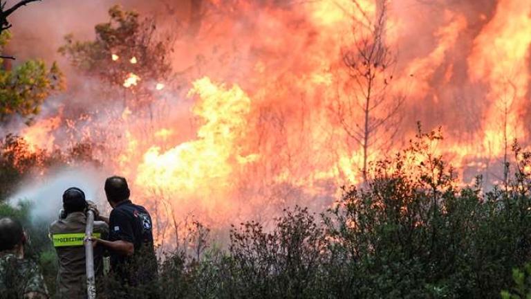 Μεγάλη φωτιά στα Καλύβια - Οι πυροσβέστες ζήτησαν την εκκένωση κατοικιών