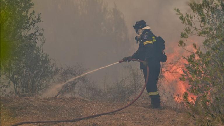 Φωτιά τώρα: Σε εξέλιξη οι φωτιές σε Κορινθία και Ηλεία - 64 πυρκαγιές εκδηλώθηκαν το τελευταίο 24ωρο