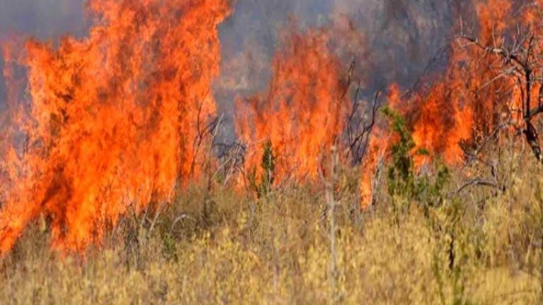 Υπό μερικό έλεγχο η πυρκαγιά στην Κάρυστο Ευβοίας - Συνελήφθη 59χρονη