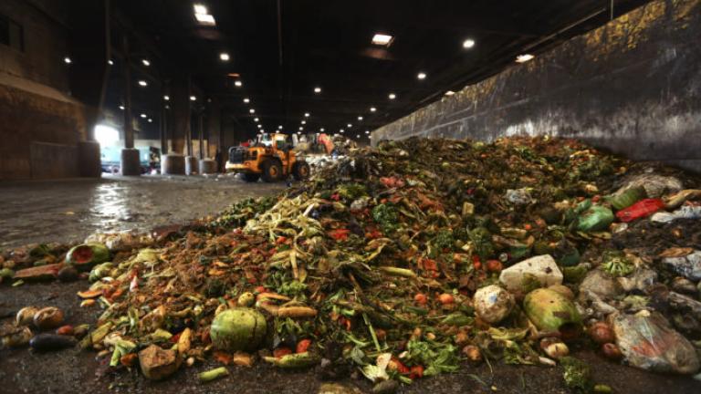 88 εκατομμύρια τόνοι τροφίμων το χρόνο καταλήγουν στα σκουπίδια στην Ευρώπη, προειδοποιεί η WWF Ελλάς