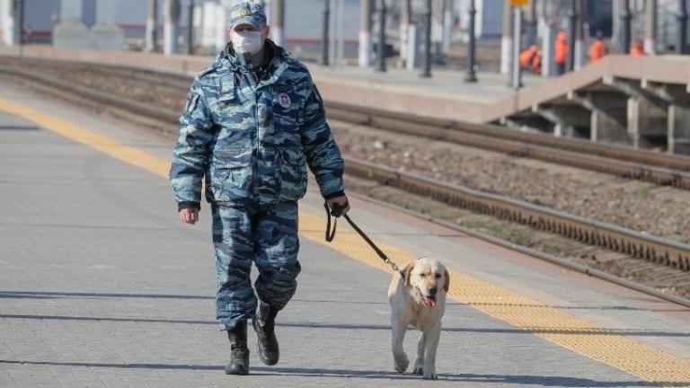 Καλούνται για «κατάταξη»  στις Ένοπλες Δυνάμεις 193 στρατιωτικοί σκύλοι