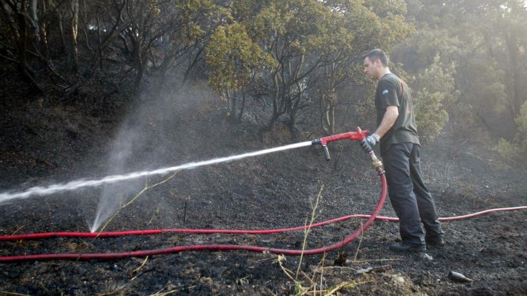 Θεσσαλονίκη: Σε εξέλιξη φωτιά σε δασική έκταση στον δήμο Θέρμης