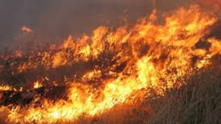 Σε εξέλιξη πυρκαγιά στην περιοχή Ζήρεια της Αχαΐας