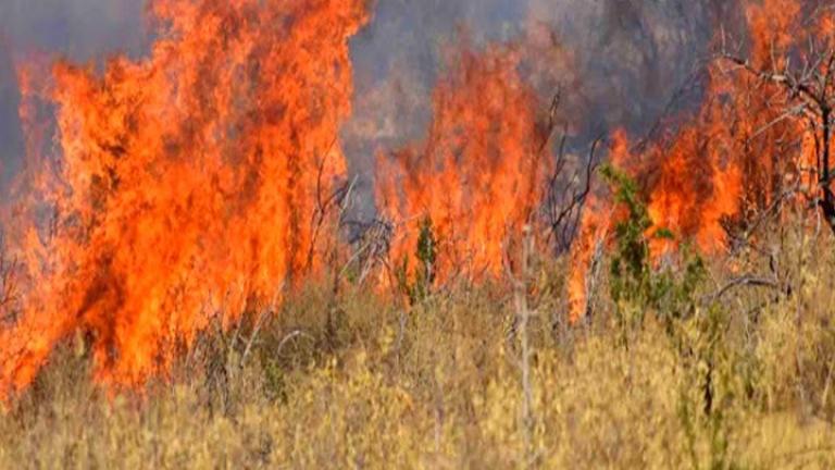 ΓΓΠΠ: Πολύ υψηλός κίνδυνος πυρκαγιάς προβλέπεται την Πέμπτη για πολλές περιοχές της χώρας
