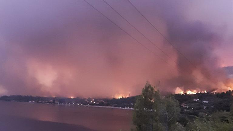 Πυρκαγιά στην Εύβοια: Κάηκαν σπίτια και παρθένο δάσος 