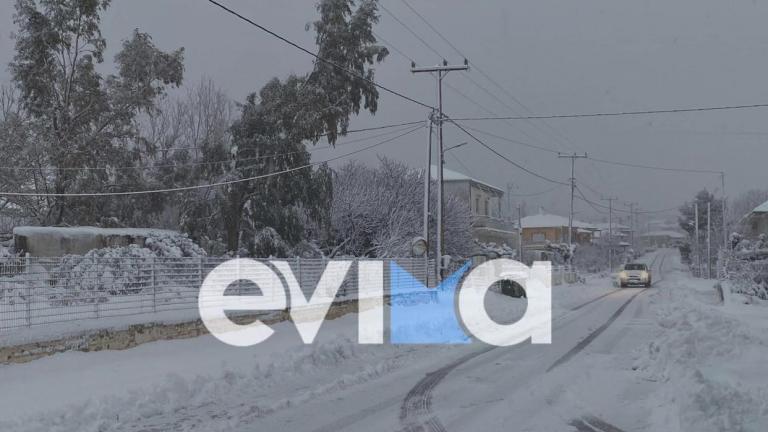 Εύβοια - Κακοκαιρία Ελπίς: Το χιόνι έφτασε μέχρι τη θάλασσα - Στα ορεινά ξεπερνά τους 50 πόντους (ΦΩΤΟ-ΒΙΝΤΕΟ)
