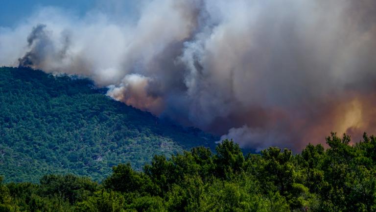 Περισσότερα από 25.000 στρέμματα κάηκαν στη Δαδιά και 17.000 στα Βατερά της Λέσβου