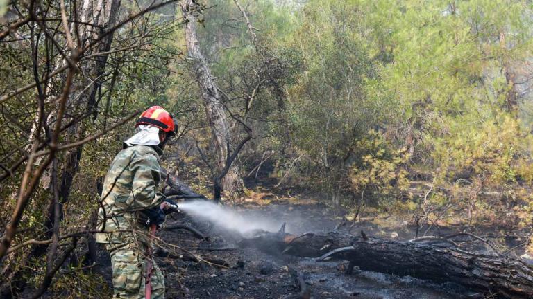 Φωτιά στο δάσος Δαδιάς - Εκκενώνεται το χωριό Λευκίμη