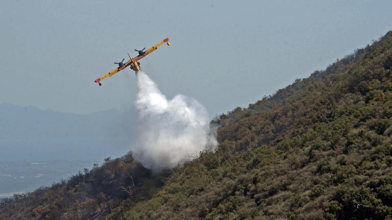 Μεγάλη πυρκαγιά στον Σχίνο Μεσσηνίας: Ισχυρές επίγειες και εναέριες πυροσβεστικές δυνάμεις προκειμένου να θέσουν υπό έλεγχο την φωτιά