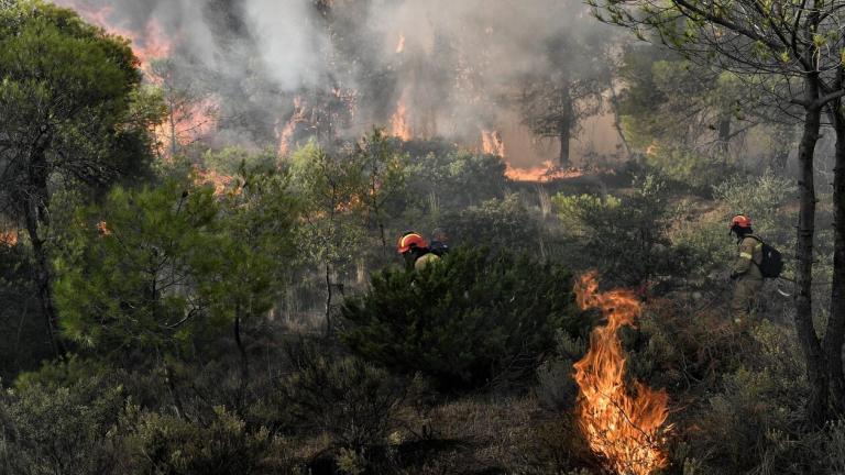 Ρέθυμνο: Μήνυμα του 112 να αποφύγουν οι πολίτες την περιοχή του Αγίου Βασιλείου λόγω δασικής πυρκαγιάς	