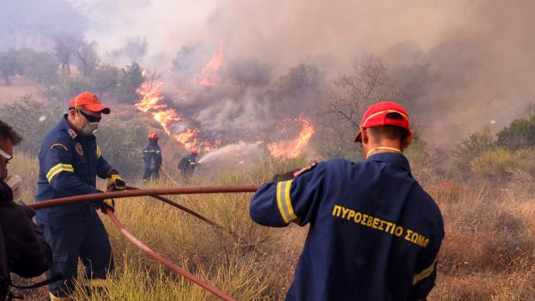 Πυρκαγιά στην περιοχή Άσπρες Πεταλούδες Μαγνησίας - Μήνυμα του 112  