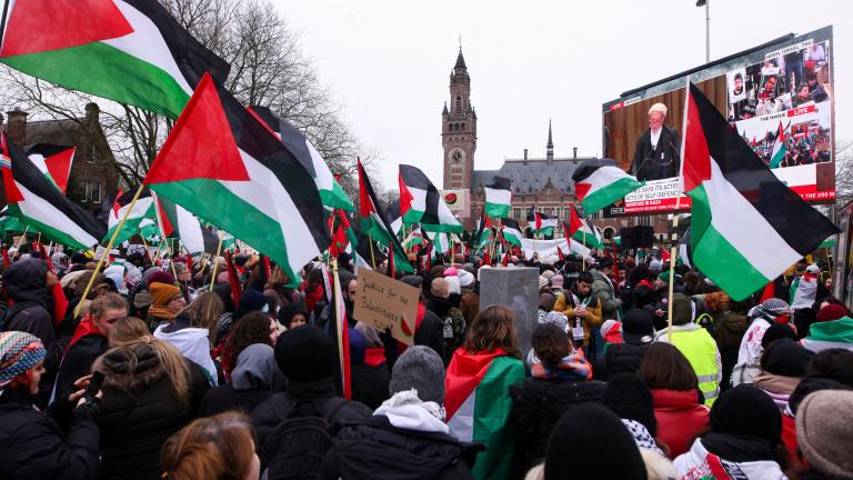 pro palestine rally 2