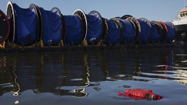 ΣΟΚ: Πτώματα στα νερά που θα γίνει η Κολύμβηση και η Κωπηλασία στο Ρίο! (pics)