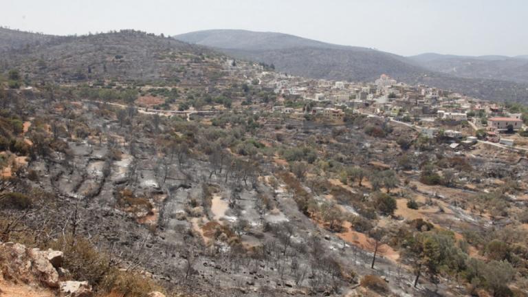 Πάνω από 90% η καταστροφή στη Χίο - Γρήγορα οι αποζημιώσεις στους μαστιχοπαραγωγούς