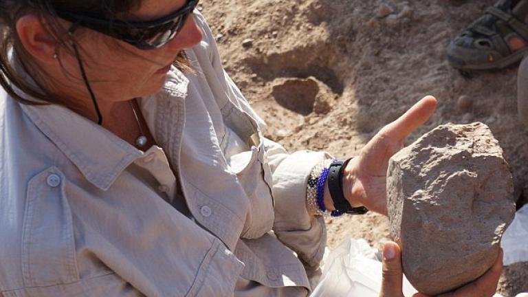 Τα αρχαιότερα ζωικά ίχνη πάνω σε λίθινα εργαλεία - Είναι 250.000 ετών 
