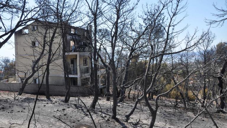 Συνελήφθη 28χρονος  αγρότης ως ο υπεύθυνος για την καταστροφική φωτιά στην Κορινθία